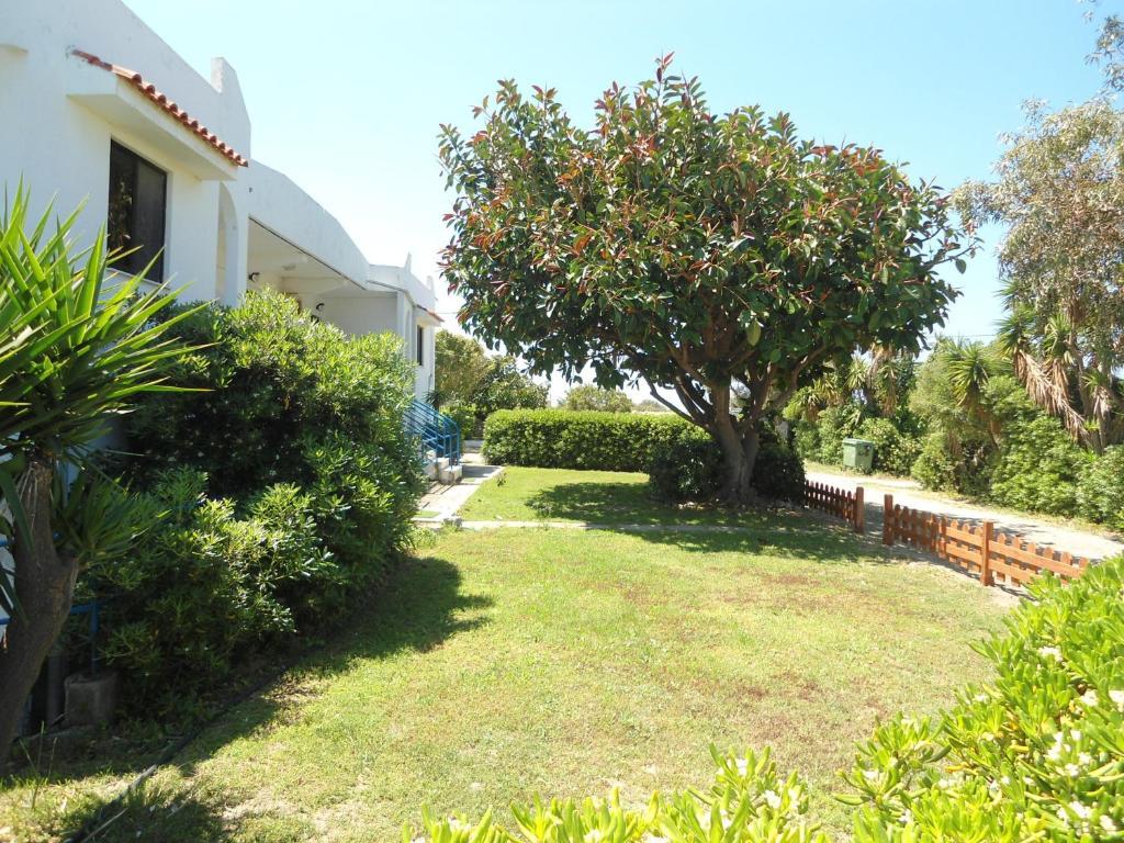 Evi Apartments And Studios Theológos Oda fotoğraf