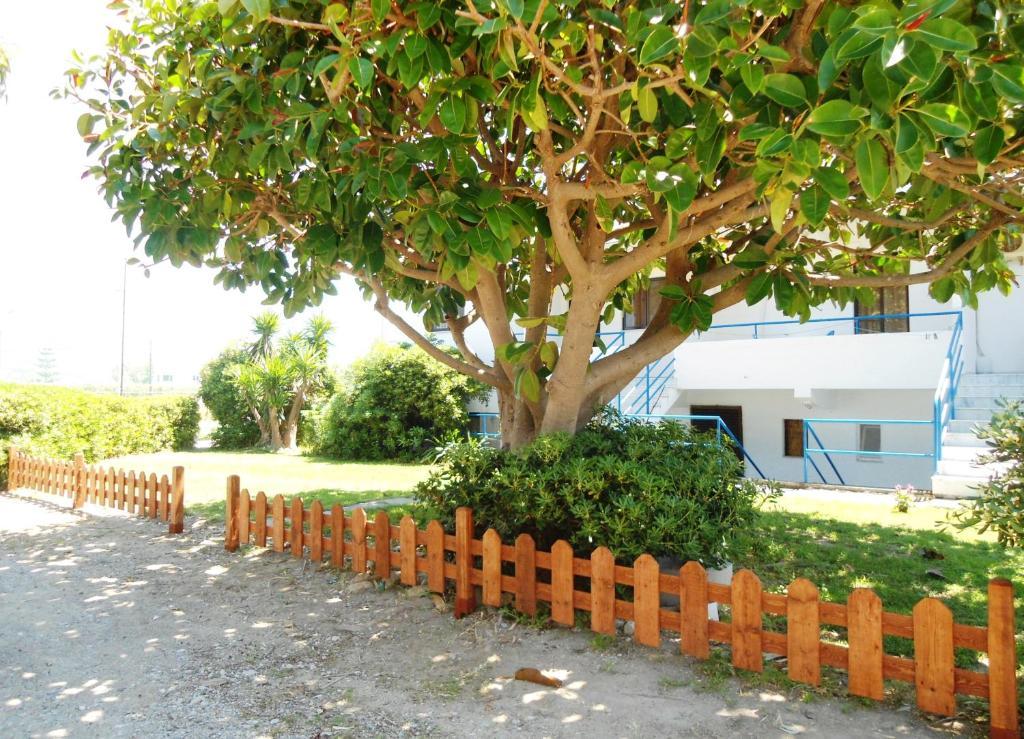Evi Apartments And Studios Theológos Oda fotoğraf