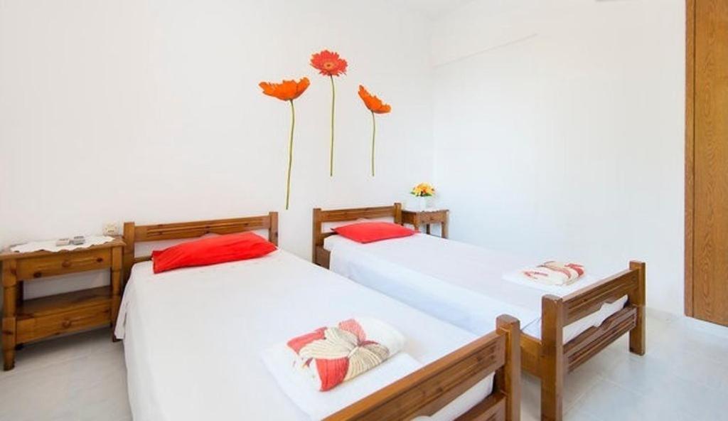 Evi Apartments And Studios Theológos Oda fotoğraf