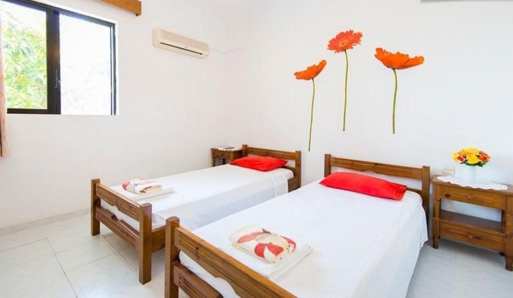 Evi Apartments And Studios Theológos Oda fotoğraf